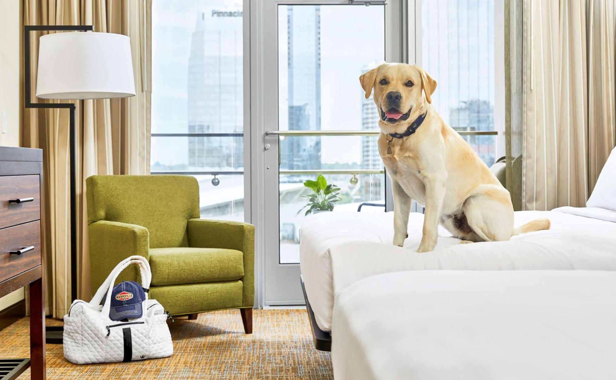 Embassy Suites By Hilton Nashville Downtown Екстериор снимка